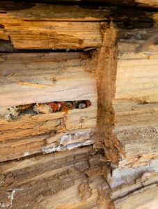 a log home with damaged wood exterior