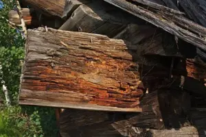 a beam in a log home that is damaged